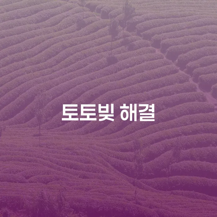 개인채무조회 개인회생으로 현명하게 살펴보세요