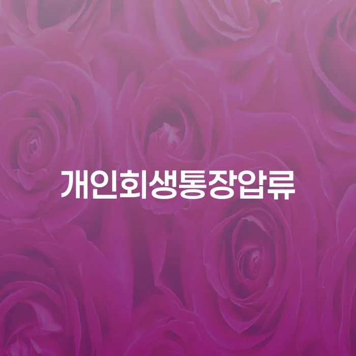 도박채무 채무조정제도을 이용하여 전문가와 함께