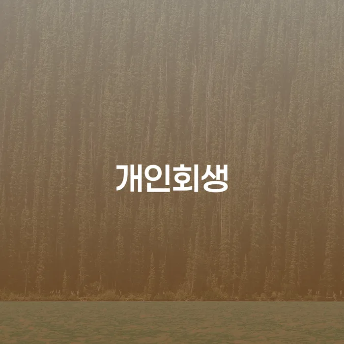 신용카드대출 연체 시 빚청산 있다면