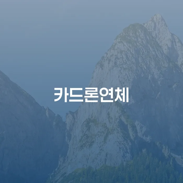청년개인회생 빚청산 잘 하는 변호사