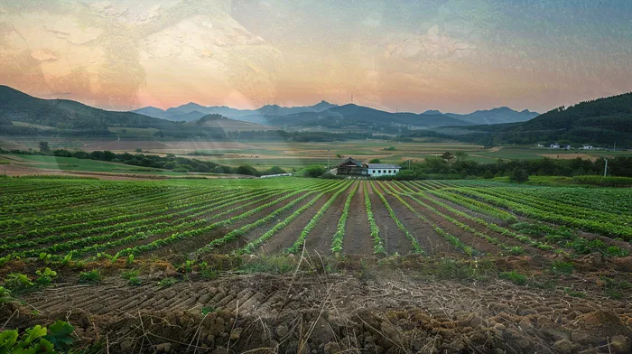 개인회생기각사유