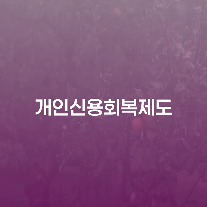 동작구 개인회생법원 카드빚 연체 희망으로