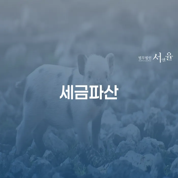 제주도 개인회생통장사용 개인회생 잘 하는 곳