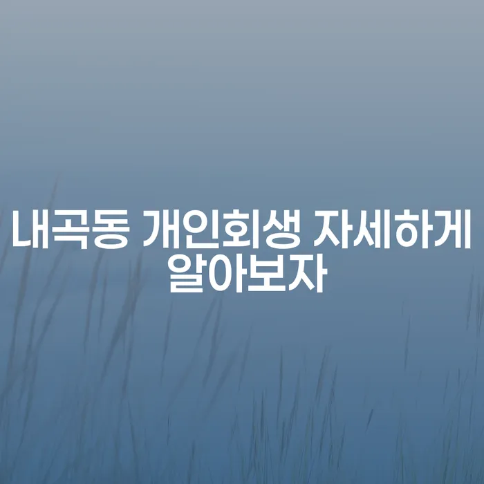 내곡동 개인회생 자세하게 알아보자
