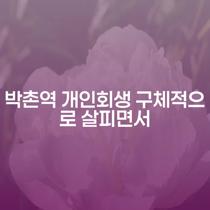 박촌역 개인회생 구체적으로 살피면서