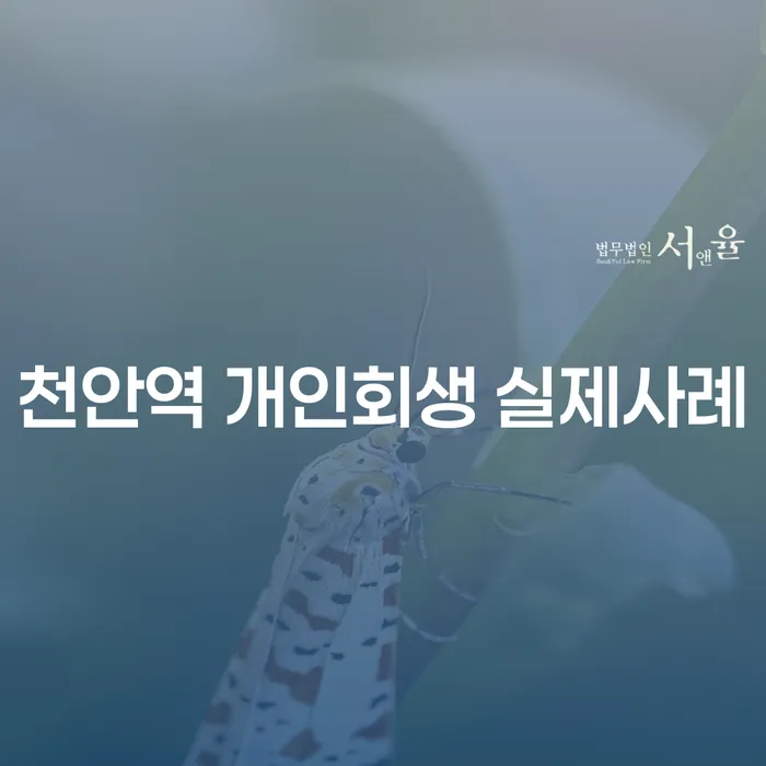 천안역 개인회생 실제사례