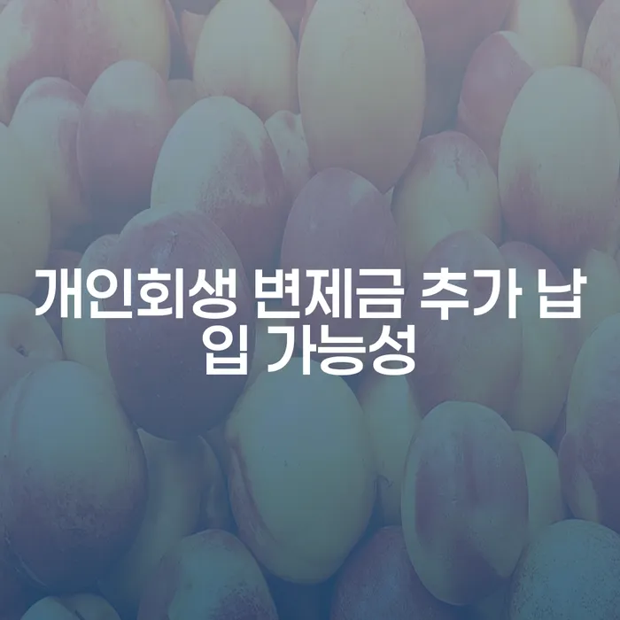 개인회생 변제금 추가 납입 가능할까요?