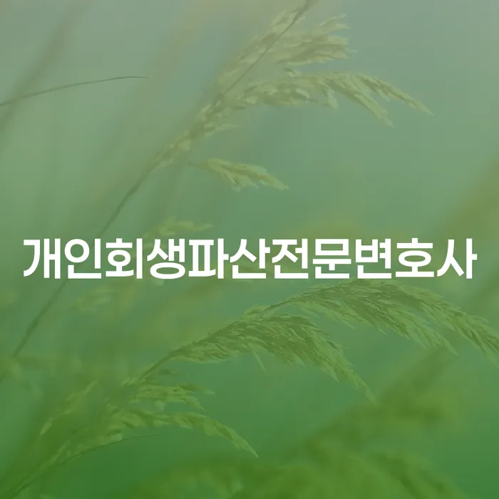 개인회생과 개인파산의 이해와 사례 분석