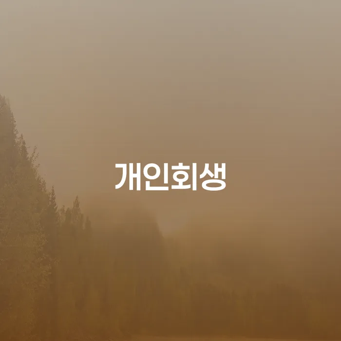 하남에서 개인회생을 신청하려면 무엇을 알아야 할까?
