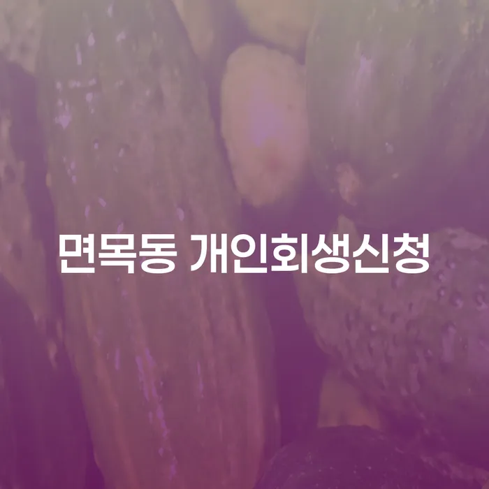 면목동 개인회생신청, 어떻게 해야 할까요?