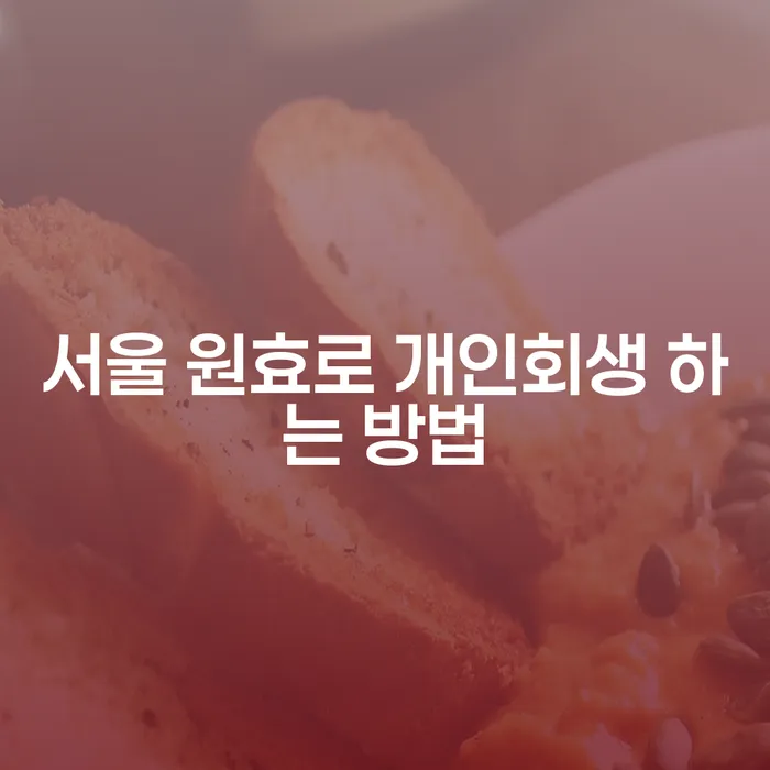 서울 원효로 개인회생 하는 방법은 무엇일까요?